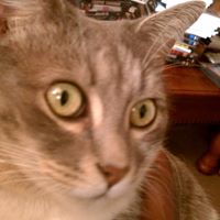 Shantae Robinson Photo 11