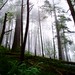 Scott Freda Photo 11