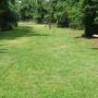 Andrew Grissom Photo 11