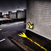 Mark Storey Photo 29