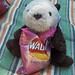 Shelly Walker Photo 16