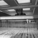 Janice Meyer Photo 22