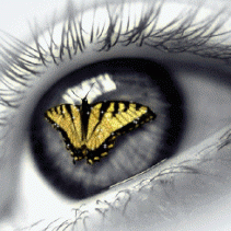 Maria Camargo Photo 6