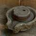 Shan Zhao Photo 33