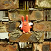 Terry Shek Photo 6