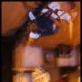 Jared Allen Photo 22