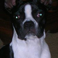 Judy Hamm Photo 23