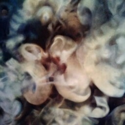 Kirby Smith Photo 23