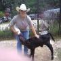 Debbie Pardue Photo 20
