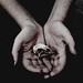 Sarah Burd Photo 15