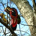 Blake Dutton Photo 9