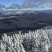 Tirrell North Photo 6