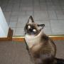 Connie Lynn Photo 25