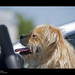 Don Summers Photo 6