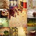 Harold Lange Photo 10