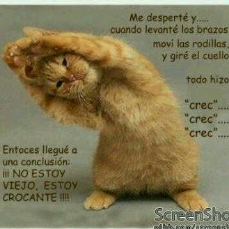 Belinda Gomez Photo 42
