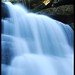Aaron Parker Photo 45