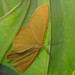 Joseph Huebner Photo 5