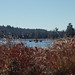 Don Mcdaniel Photo 24