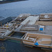 Christopher Paulson Photo 10