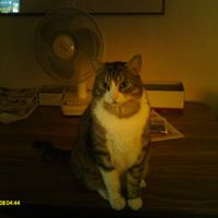Ruth Hackett Photo 5