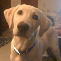 Jane Smothers Photo 6