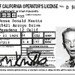 Don Driver Photo 16