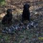 Christopher Spradlin Photo 13