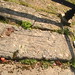 Robert Macgregor Photo 18