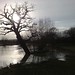 Michael Stotts Photo 10
