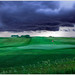 Greg Becker Photo 14