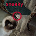 Fred Farley Photo 5