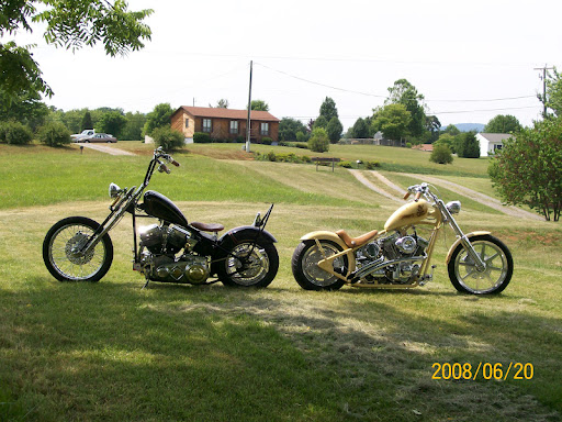 Sharon Bowles Photo 29