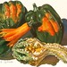 Joyce Jensen Photo 21