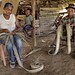 Altagracia Rodriguez Photo 12
