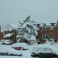 Carolyn Samuels Photo 7