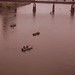 Ken Hopson Photo 18