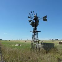 Mark South Photo 5