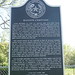 Martha Hanson Photo 44