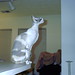 Rex Kelley Photo 14