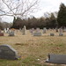 Robert Shank Photo 14