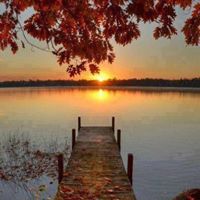 Teri Spaulding Photo 8