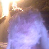 Anna Ray Photo 12