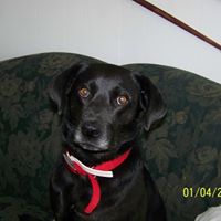 Jennifer Belding Photo 5