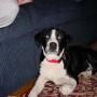 Janet Mcgrath Photo 37