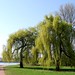 Paul Erb Photo 9