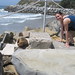 Debra Seals Photo 7