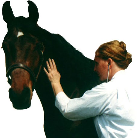 Kathleen Cavanagh Photo 7