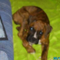 Terrie Bell Photo 15