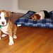 Lucy Tyson Photo 9